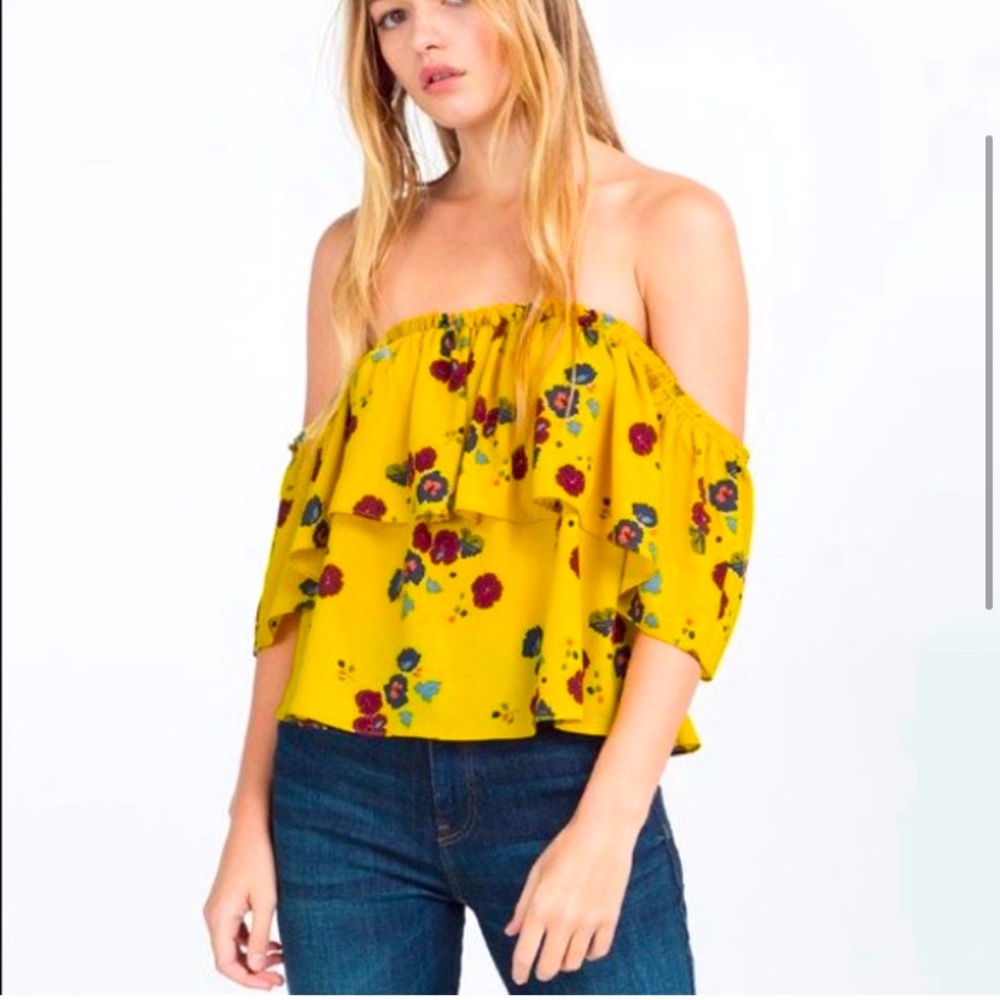 ZARA Off Shoulder Ruffle Crop Blouse